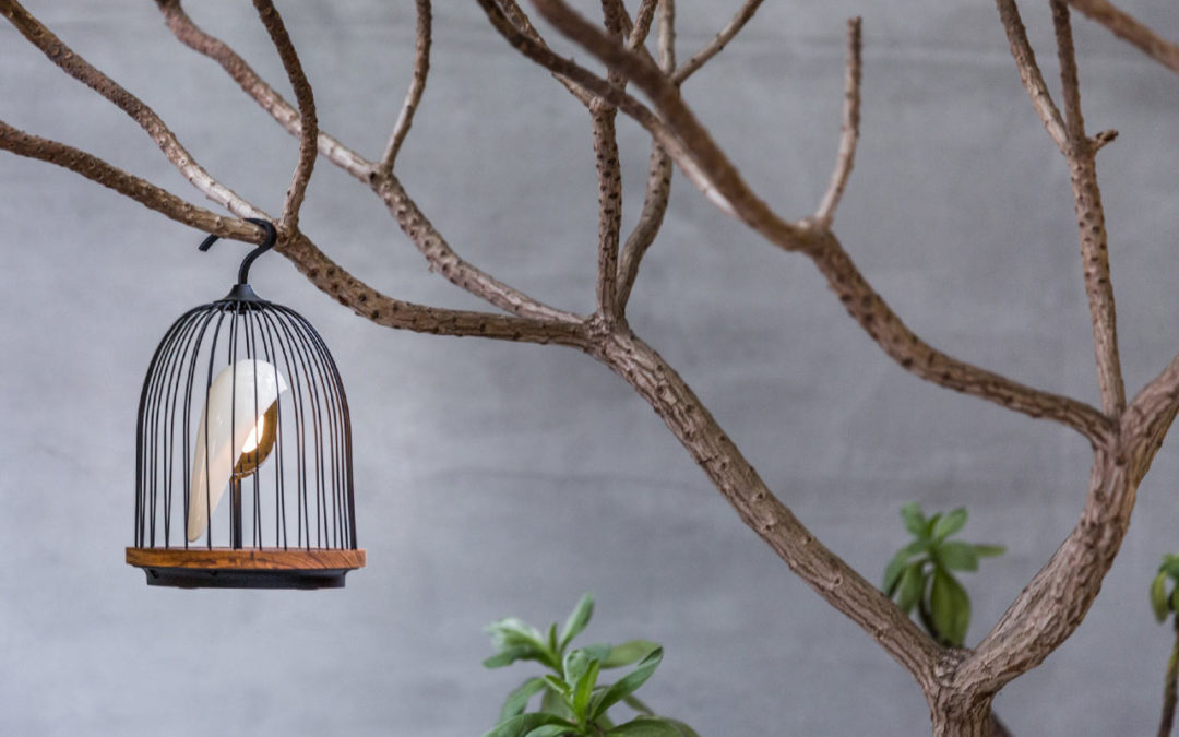 Come differenziare l’ambiente: parti dagli accessori