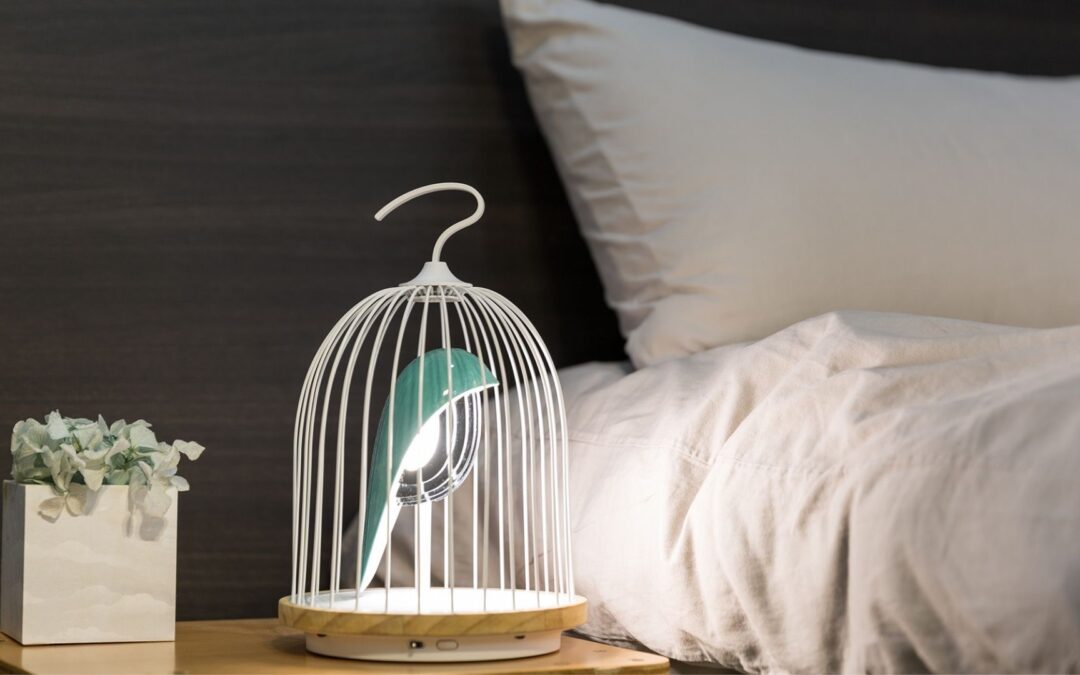 Svegliati nella natura, con Daqi Concept