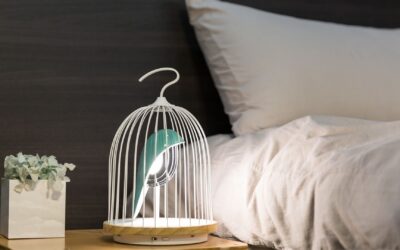 Svegliati nella natura, con Daqi Concept